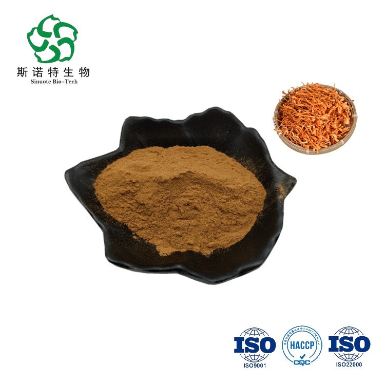 蛹虫草提取物 Cordyceps militaris extract 精细粉末 可商检