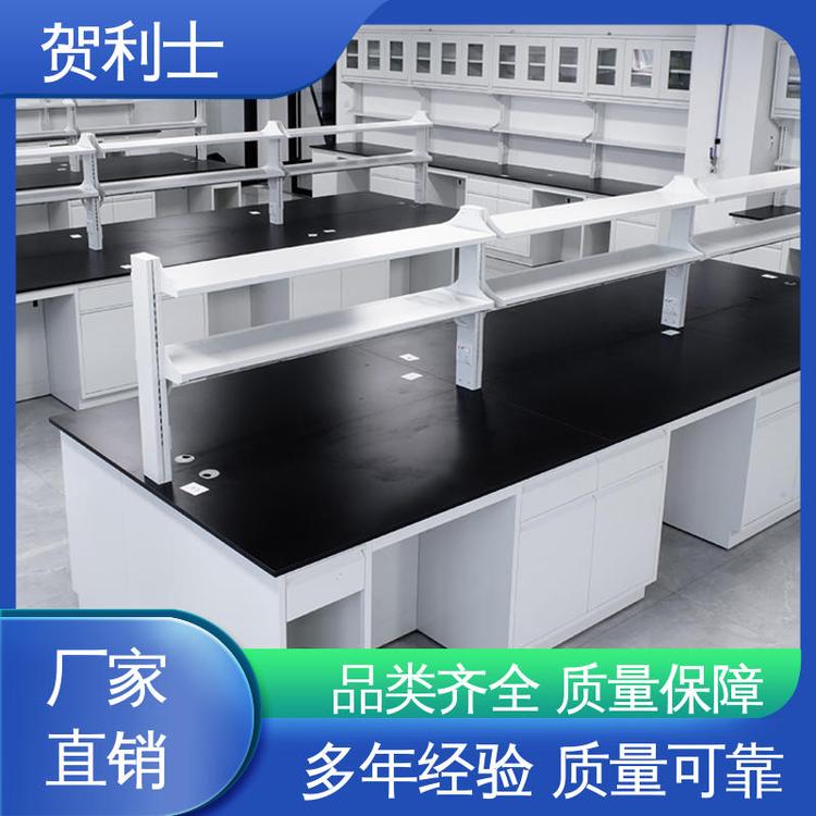建设用 坚实耐用 匠心打造 全钢实验家具 防静电 贺利士