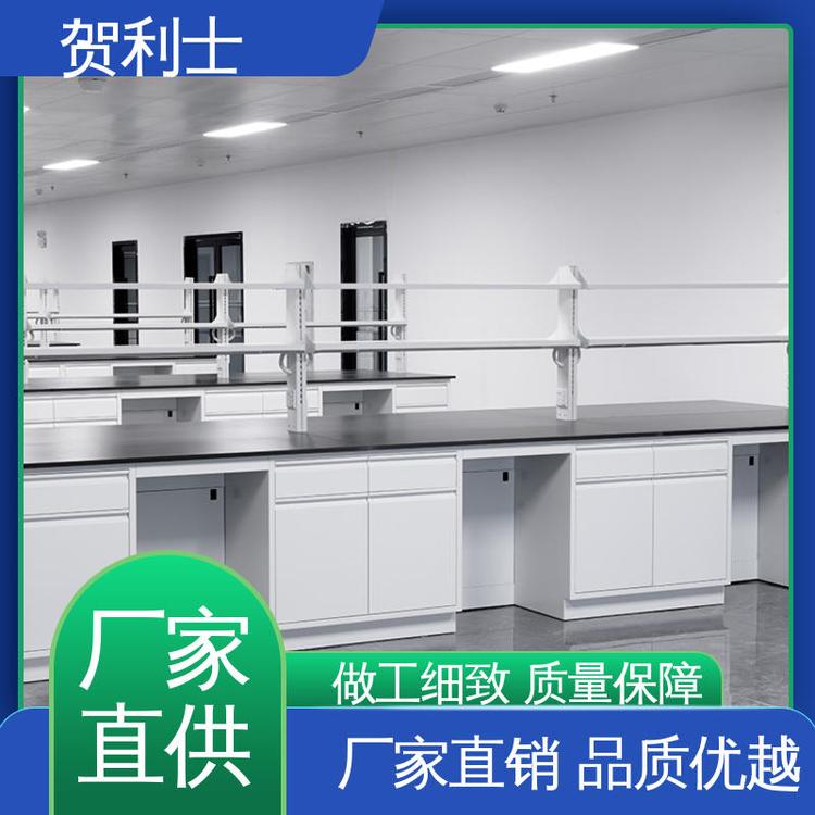 全钢试验桌 保质保量 精致打造 适用于医疗卫生 坚固实用 贺利士