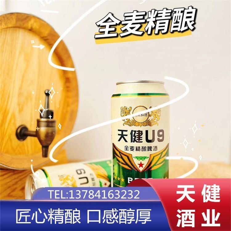 供应易拉罐啤酒 天健 原浆 低度黄啤供应 款式齐全
