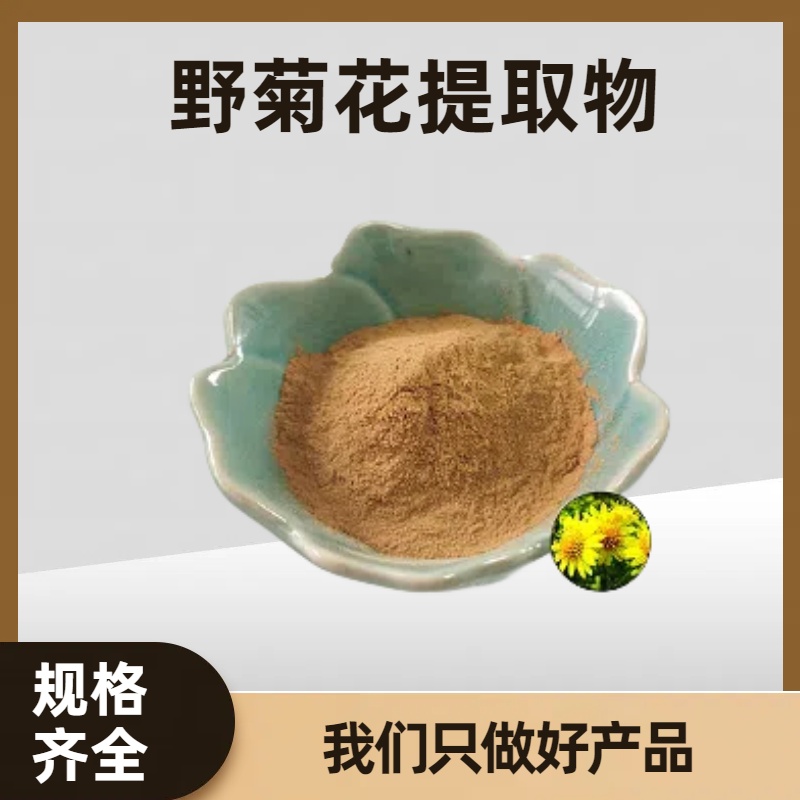 珺禾 野菊花提取物 喷雾干燥野菊花粉 粉末 多规格