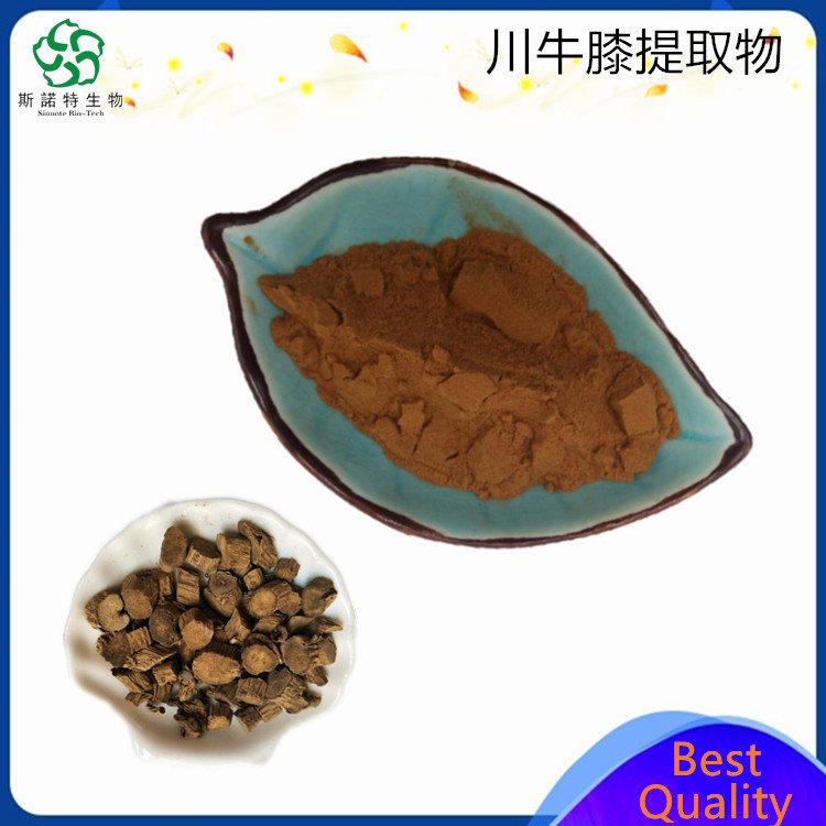 川牛膝提取物 保健原料 精细粉末 斯诺特 植物萃取