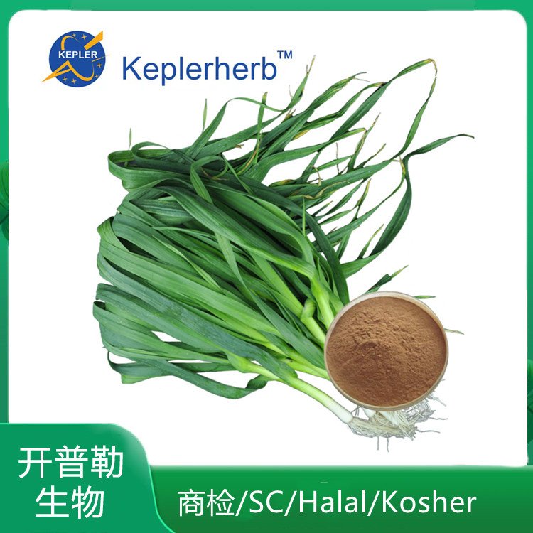 浸膏粉 蒜苗粉 蒜苗提取物 大蒜叶提取物 SC认证 品牌直售