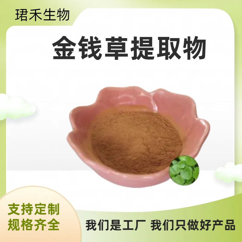 金钱草提取物 含黄酮 比例浓缩 喷雾干燥 多规格可定制