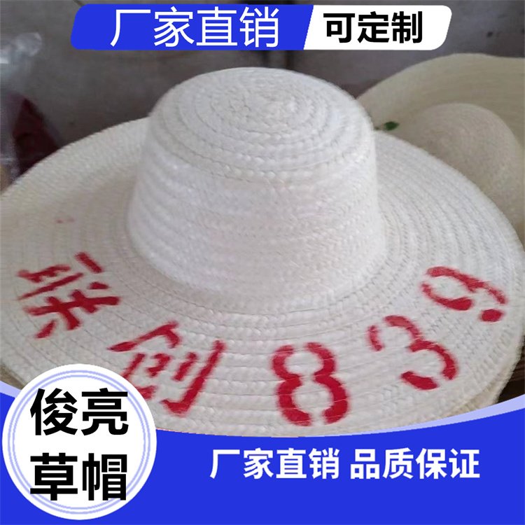 俊亮 大檐帽大帽沿 渔夫帽户外遮阳草帽支持定制可印字