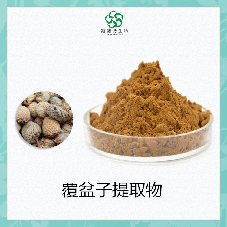 斯诺特 覆盆子提取物 食品级原料 粉末状 易保存