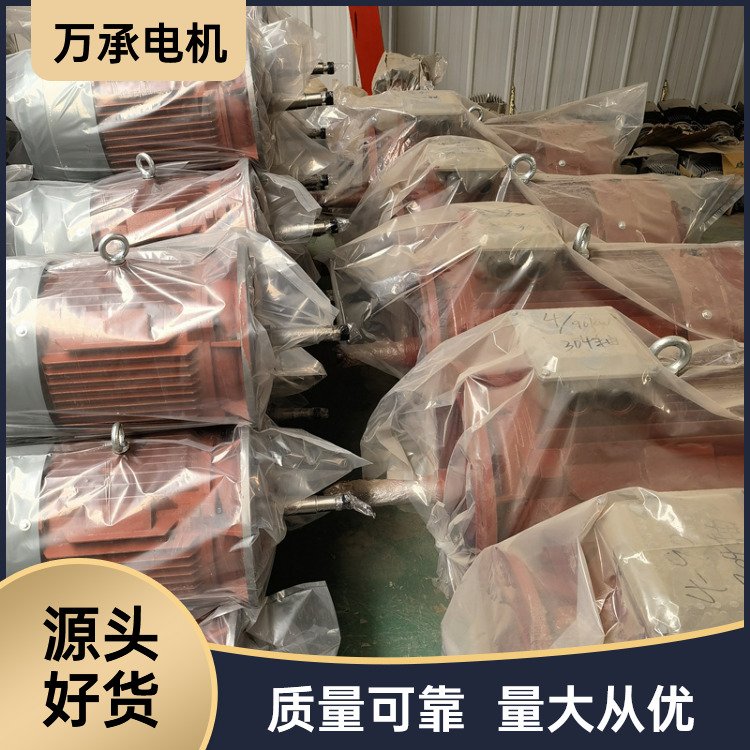 万承厂 家出售化工 冶金 电力可用不锈钢轴水泵电机