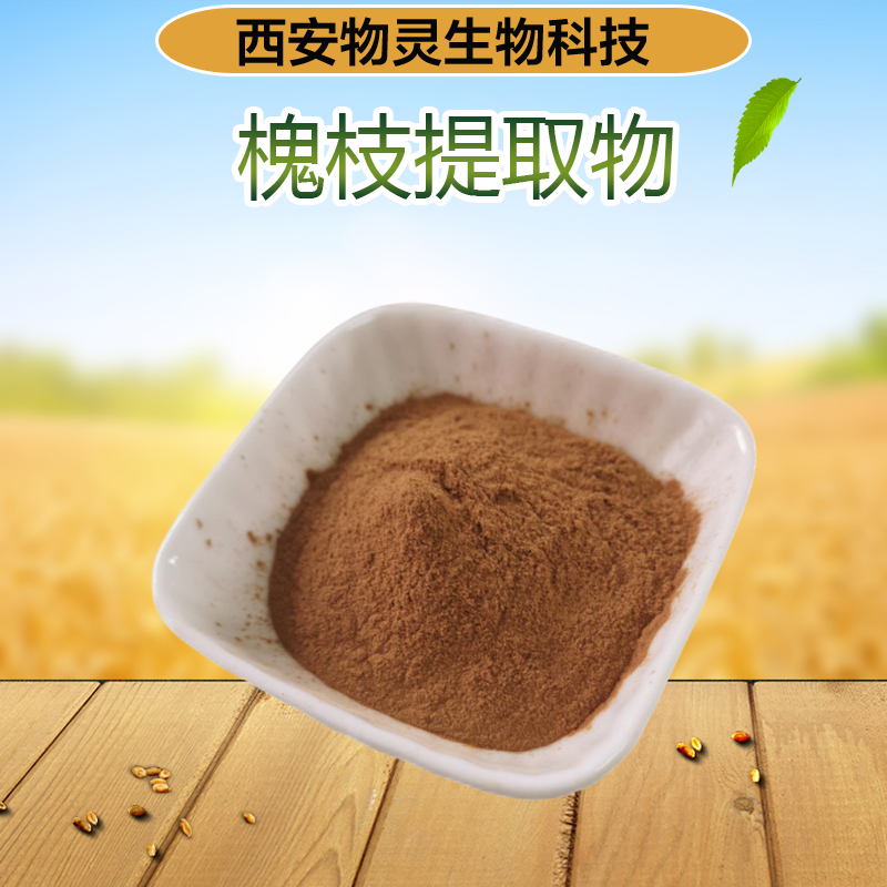 槐枝提取物 10:1 水溶槐枝粉浓缩粉 物灵生物 植物萃取原料 提供小样