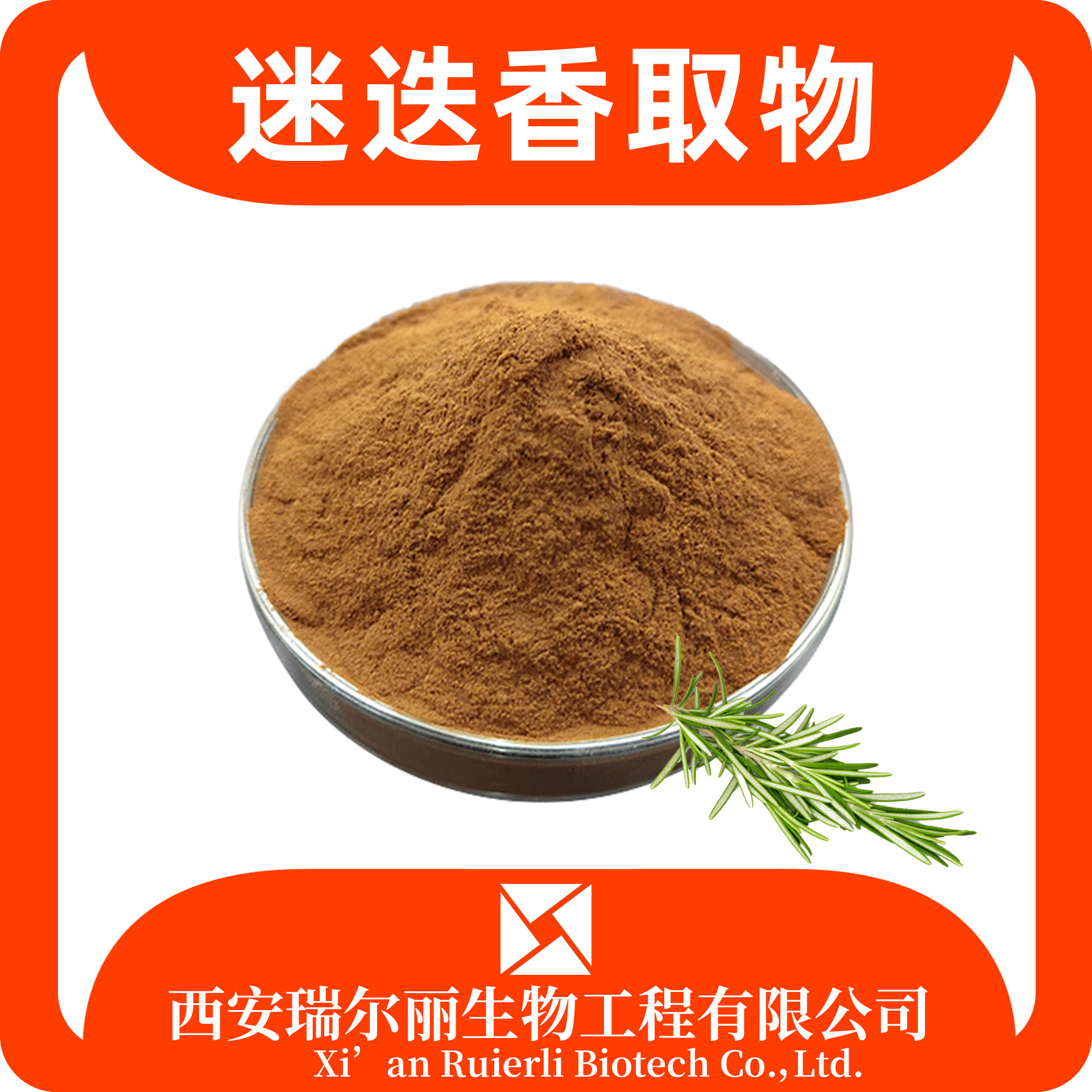 迷迭香提取物10：1 迷迭香粉 含鼠尾草酸 迷迭香酸 源头工厂