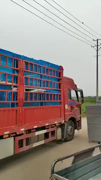 视频