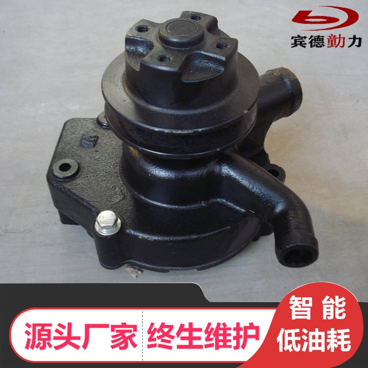 潍柴R4105ZD柴油机水泵 宾德zh4105zd发动机 水箱