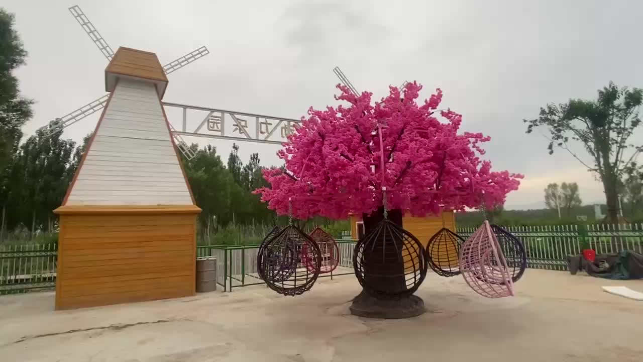 视频