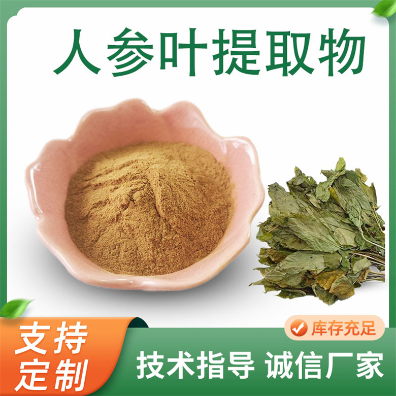 人参叶提取物 萃取人参茎叶粉 人参茎叶10:1水溶粉 可定制多规格