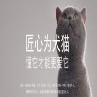 皇家宠物食品