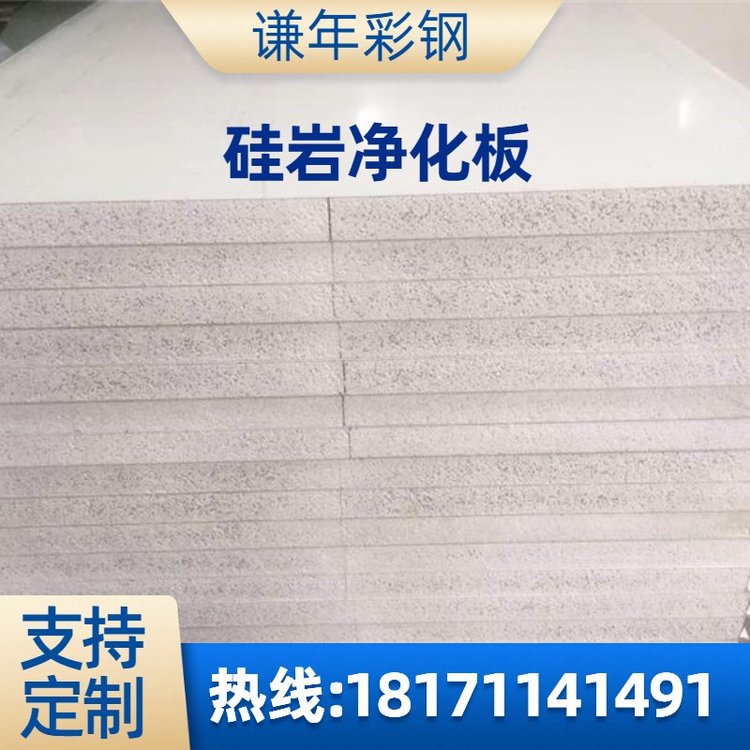 工厂供应 净化保温板 防火彩钢板 硅岩净化板 谦年 防火机制硅岩板