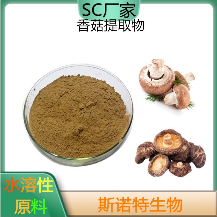 斯诺特 香菇提取物 子实体浓缩 植物萃取 精细粉末