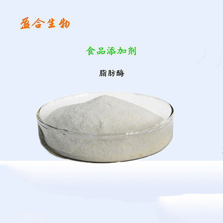 食品级脂肪酶 酶制剂 防止变味 增强风味 快速发货