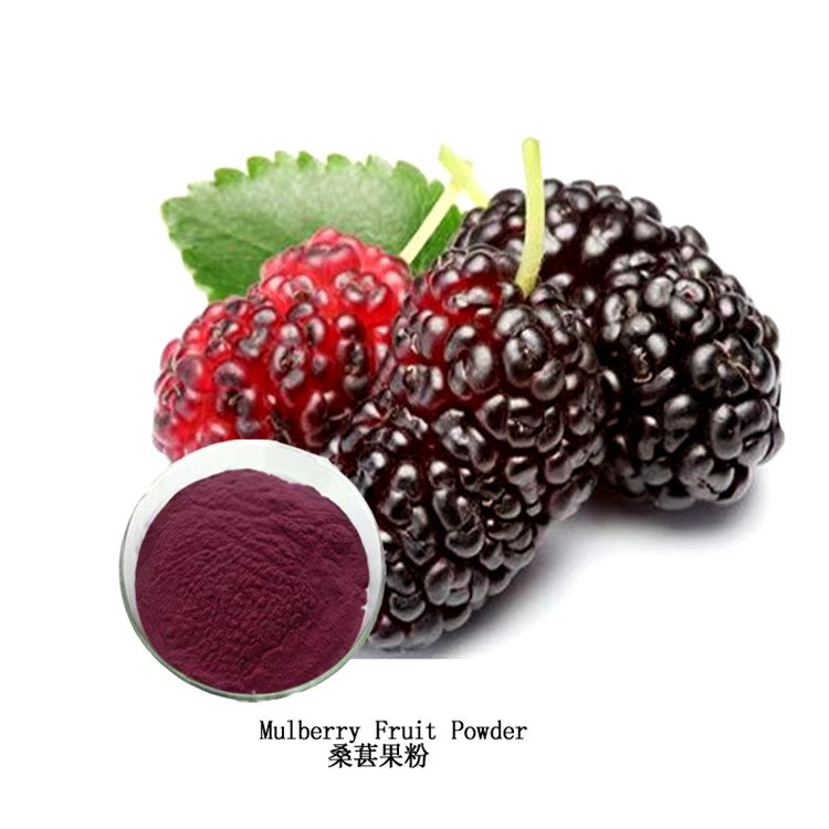 桑椹粉 喷雾干燥工艺 桑葚浓缩 货源稳定 数量有限