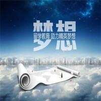 毕达留学