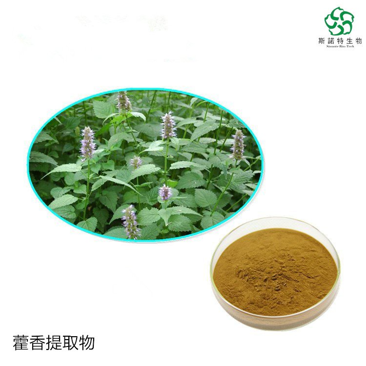 斯诺特 藿香提取物 棕黄色精细粉末 规格 10:1 20:1 支持定制