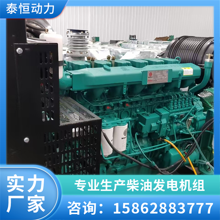 潍柴柴油发电机组 300千瓦低油耗备用电源纯铜无刷交流电机 泰恒