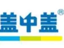 盖中盖