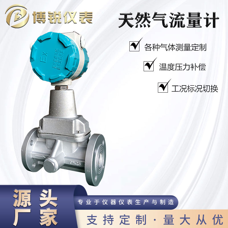 博锐 二氧化碳 旋涡流量计 精度好 内部计量 减少维护成本