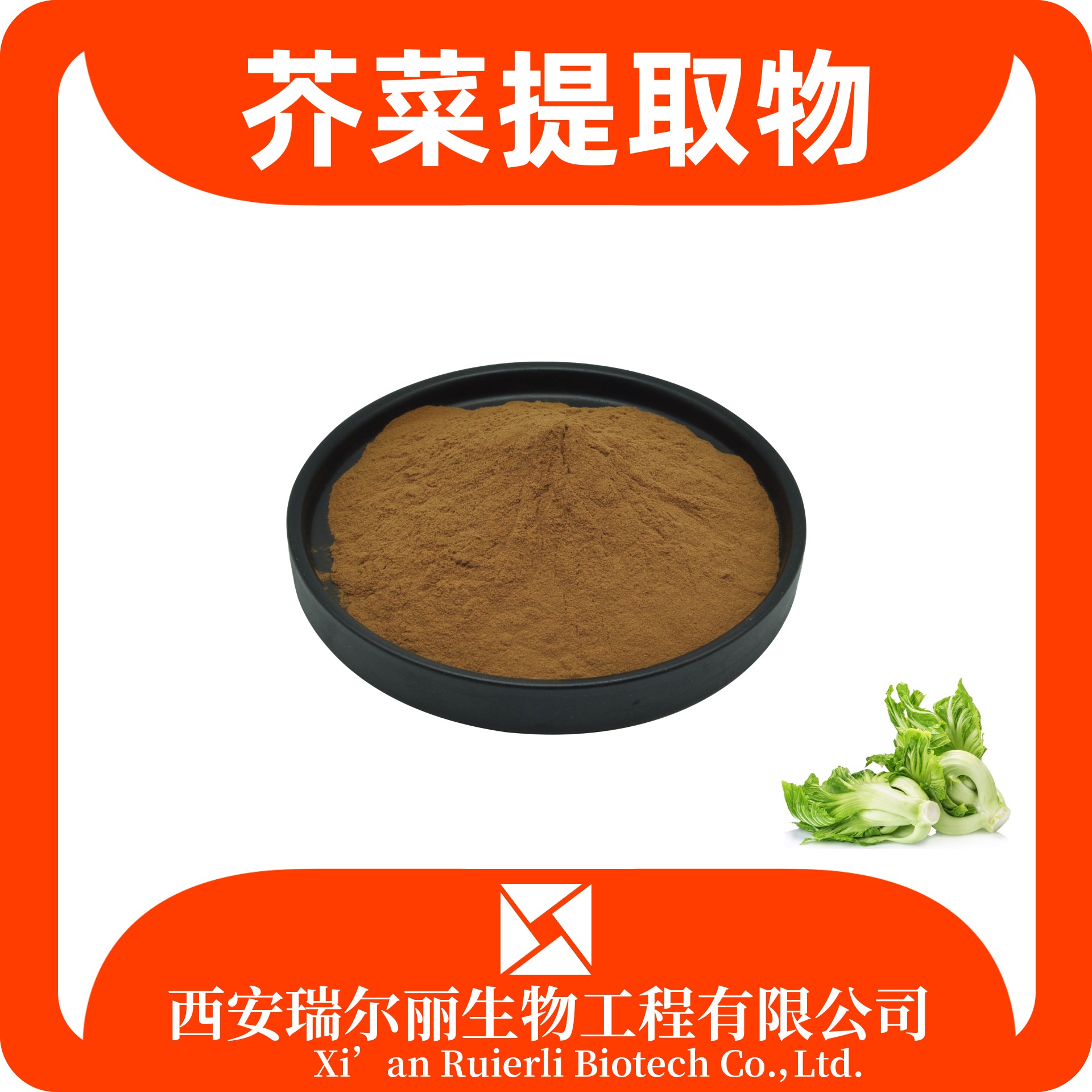 荠菜提取物 水溶荠菜粉 浓缩粉 食品原料 可定制 瑞尔丽生物 源头厂家