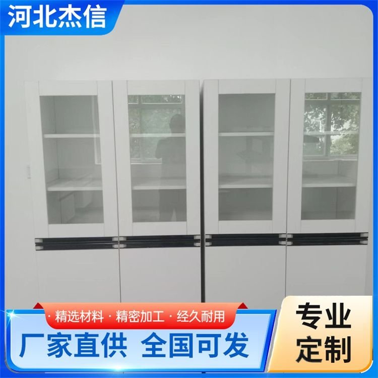独立全木试剂柜 化学样品危化品柜 耐腐蚀 按需定制 大量供应
