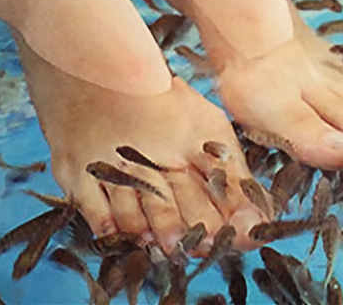 小鱼泡脚