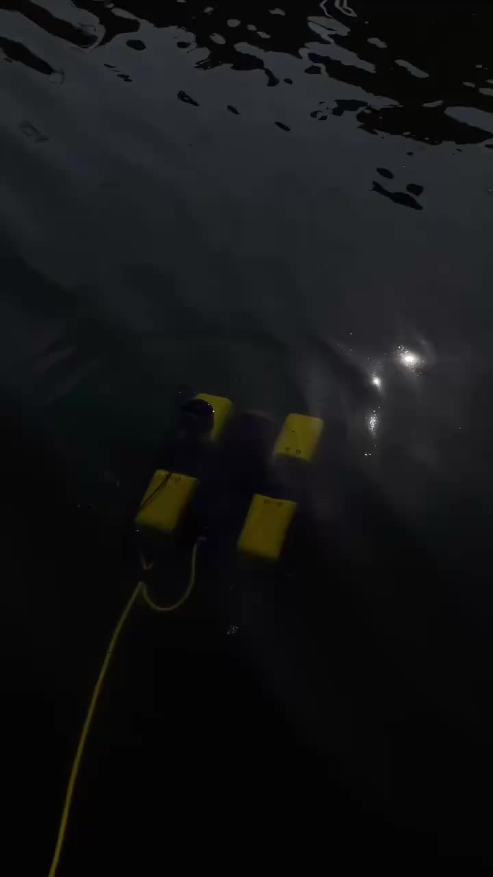 视频