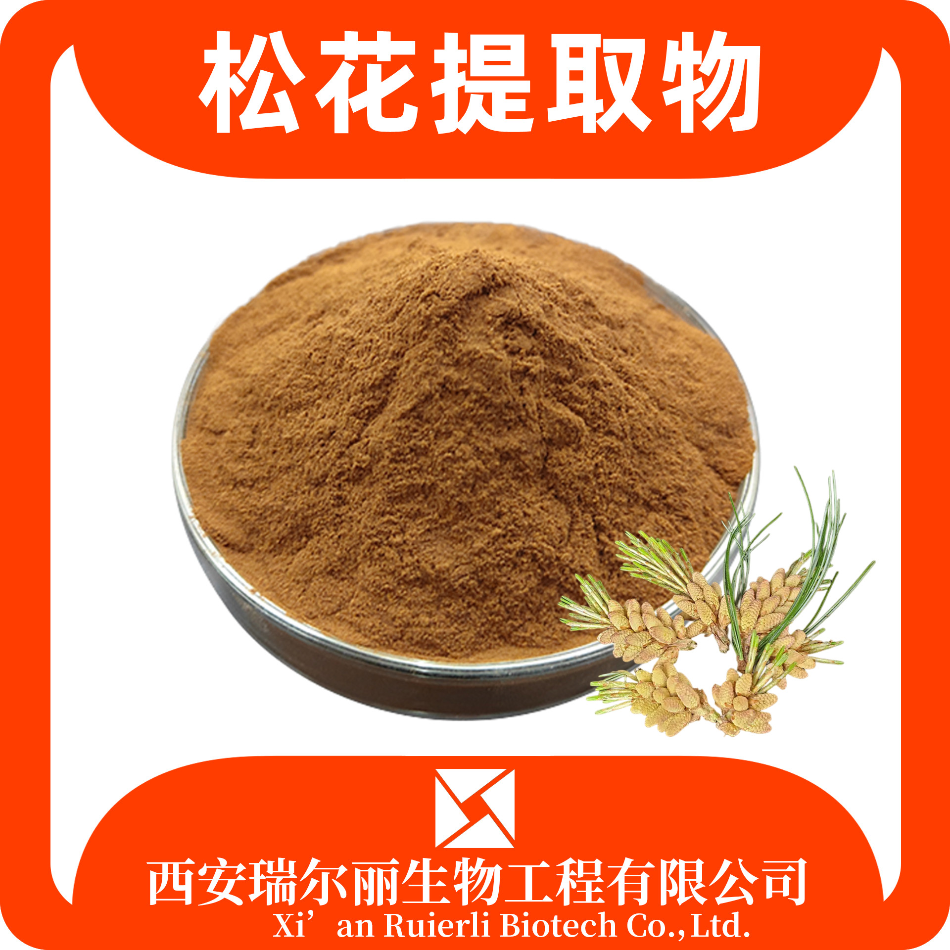 松花提取物10：1松花粉 速溶松花浓缩浸膏 瑞尔丽生物 源头厂家