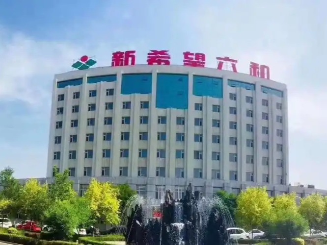 新希望六和