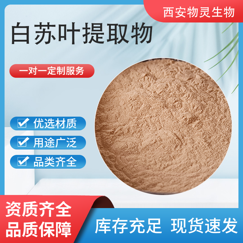 白苏叶提取物 荏叶浓缩粉 比例10:1 多种规格 浸膏 喷雾干燥