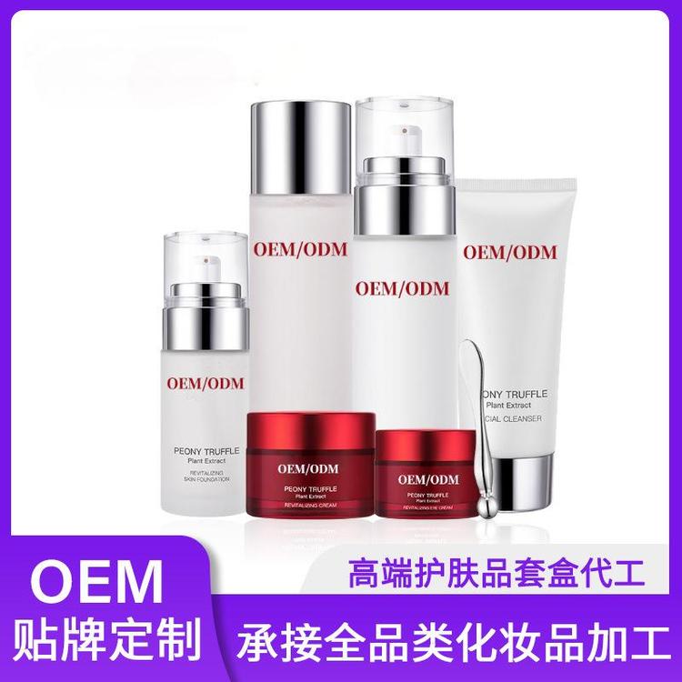 进口原料高端品牌平替护肤品套装贴牌定制水乳护肤套盒OEM代加工