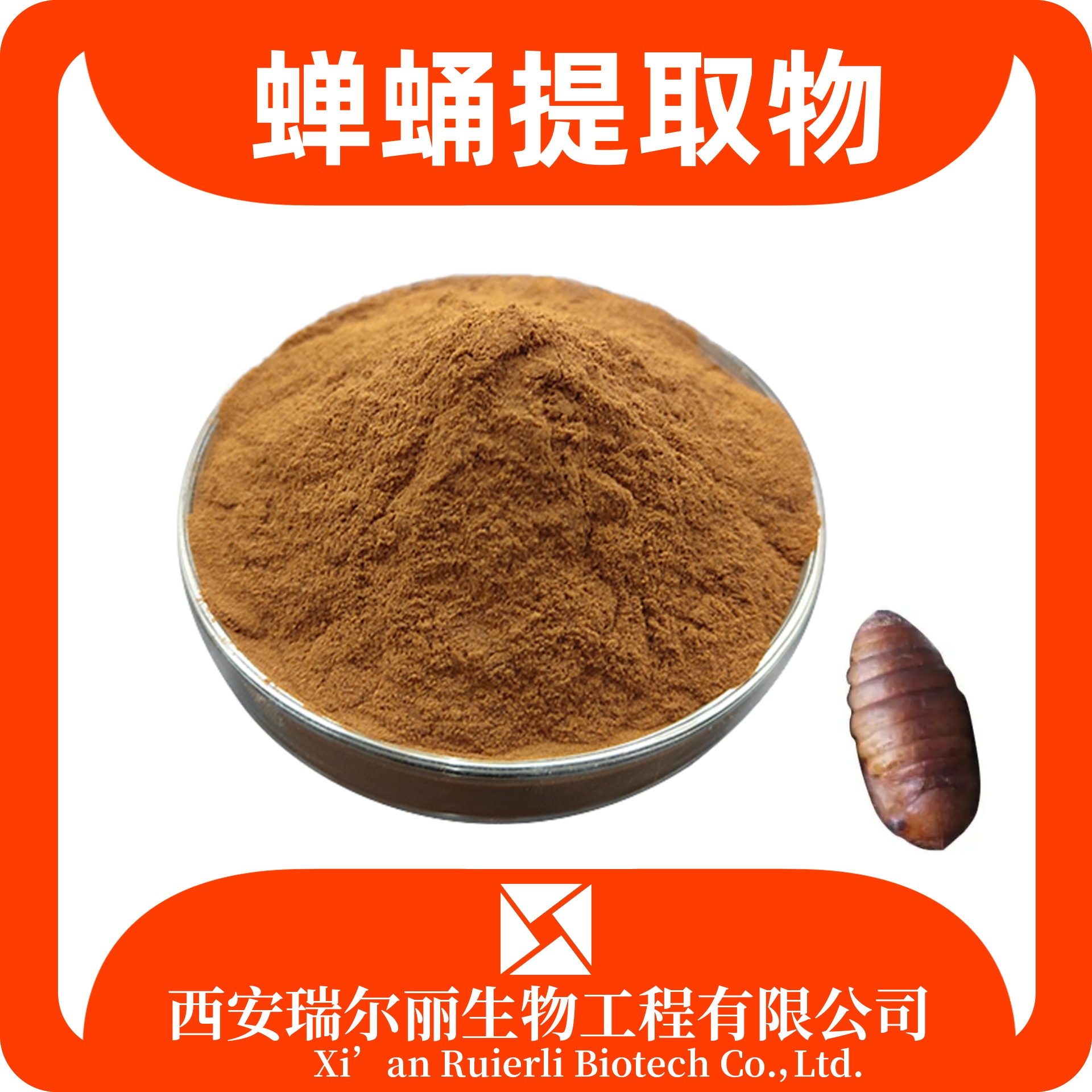 蚕蛹提取物 蚕蛹粉 速溶浓缩 sc证可定制 浸膏粉 瑞尔丽生物