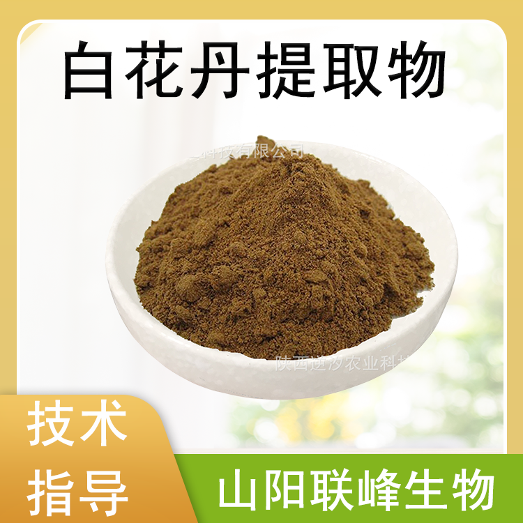白花丹提取物 10:1多比例规格 假茉莉浓缩粉 水提 浸膏粉 SC证 联峰生物