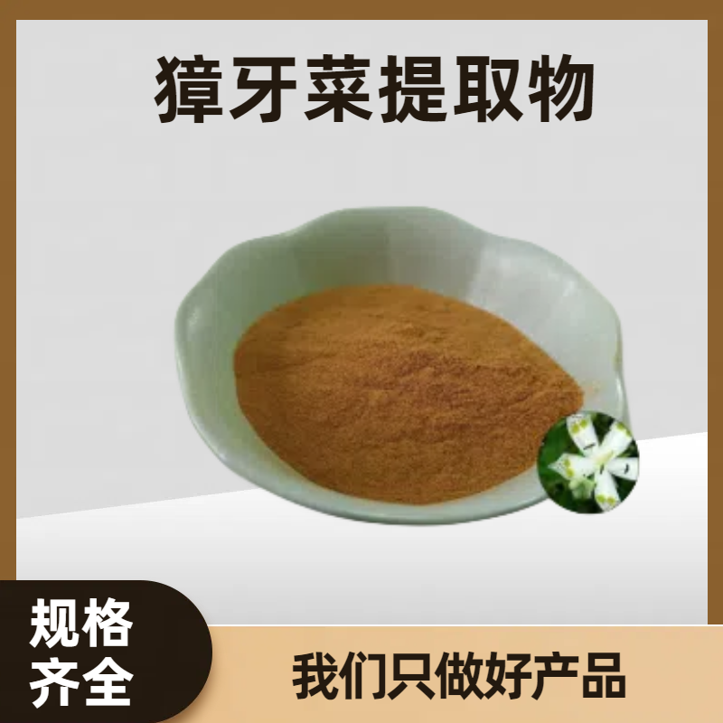 獐牙菜提取物 喷雾干燥浓缩粉 浸膏粉 茎叶提取 饲料添加