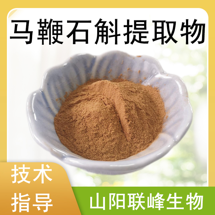 马鞭石斛提取物 水溶 植物萃取食品原料 多规格 可定制1公斤/包