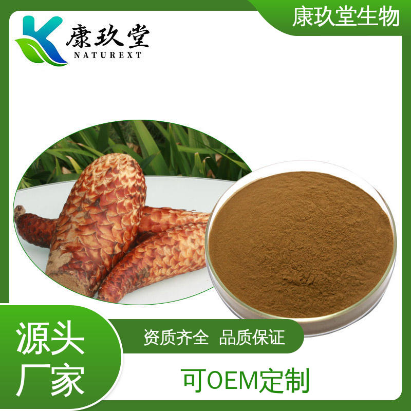 康玖堂 25公斤/桶 资质齐全 Cistanche Extract 肉苁蓉提取物