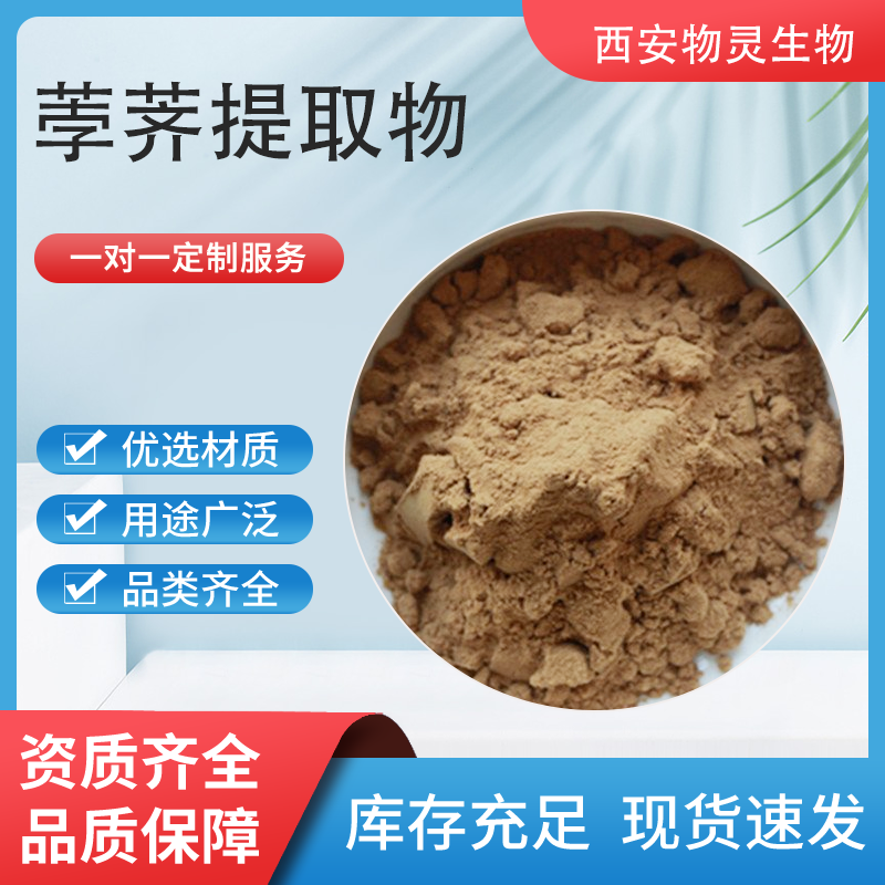 食品级荸荠提取物 10：1水溶浓缩浸膏 马蹄粉 喷雾干燥萃取 原料