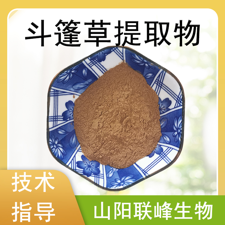 斗篷草提取物 10:1水溶羽衣草粉 原料萃取 喷雾干燥 溶解性好