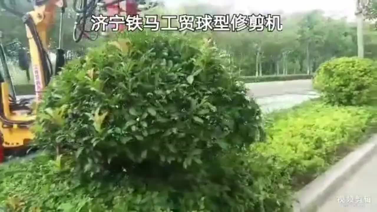 视频