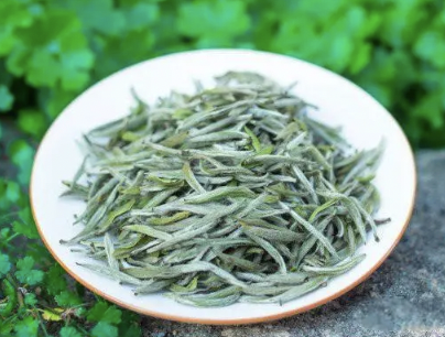福鼎白茶