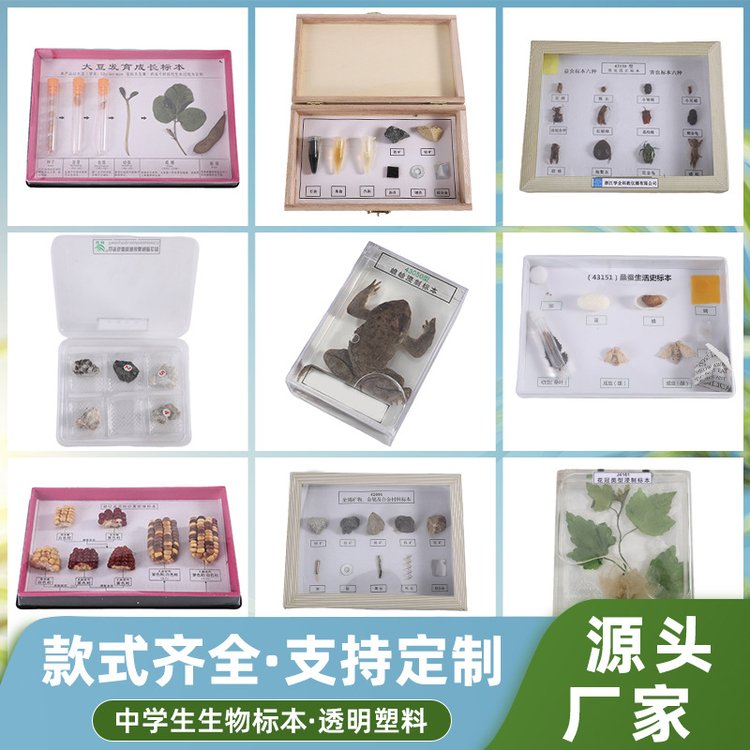 科普认知实验教学标本研究爬行动物浸泡生物展示生物标本