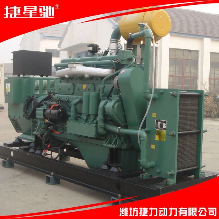 捷力动力 200KW 柴油 天然气 沼气 液化气 CNG LNG LPG 发电机组 静音