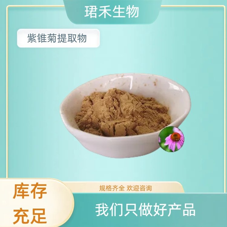 紫锥菊提取物 松果菊浓缩粉 20:1水溶浸膏粉 多酚 菊苣酸