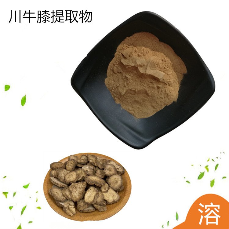 水溶性 川牛膝提取物 比例规格 浓缩粉 支持试验