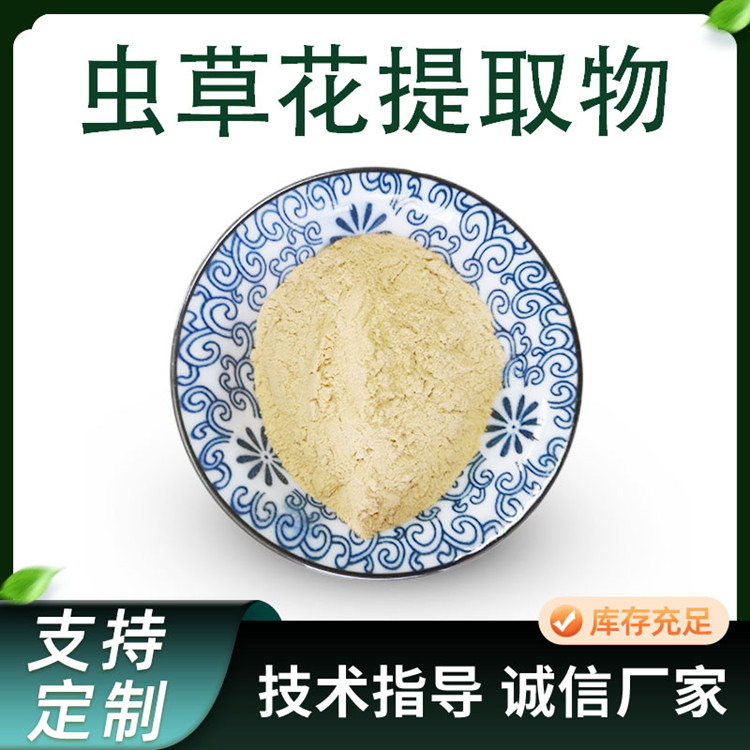 虫草花提取物 10:1浓缩比例原料粉 含虫草花多糖 喷雾干燥