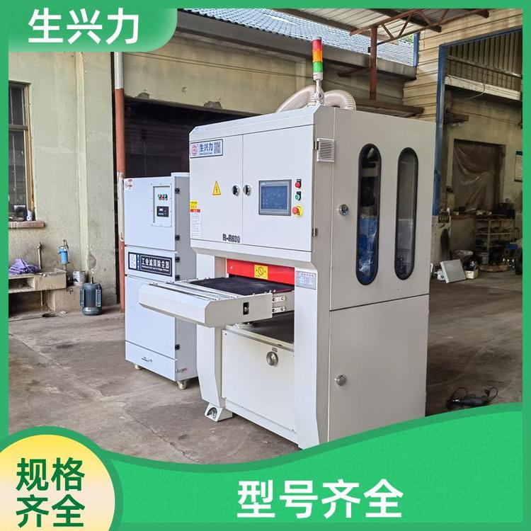 金属表面处理机 全自动去毛刺机 防腐蚀 匠心制作 生兴力RR630